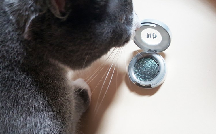 Green Bay Packer Smokey Eyeshadow Look perfect for game day!! almostherblog.com #packermakeup #packereyeshadow #greensmokeyeye #zodiaceyeshadow