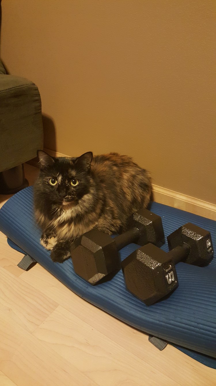 Sassy with 15lb weights! almostherblog.com