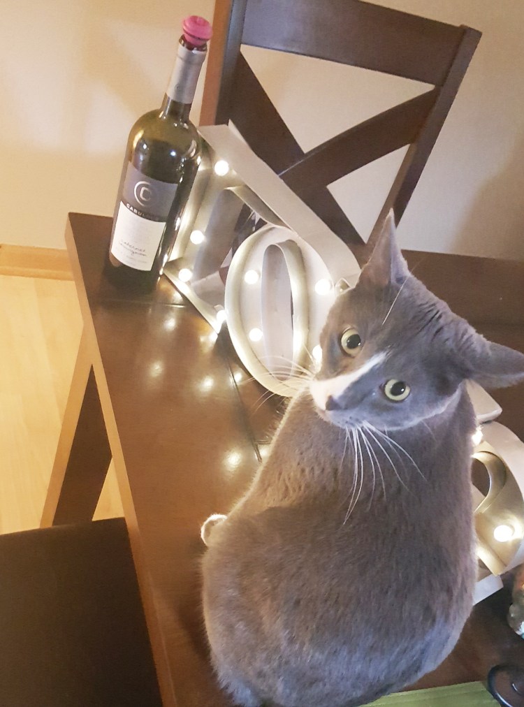 My handsome cat Rocky and my survival tools. www.almostherblog.com